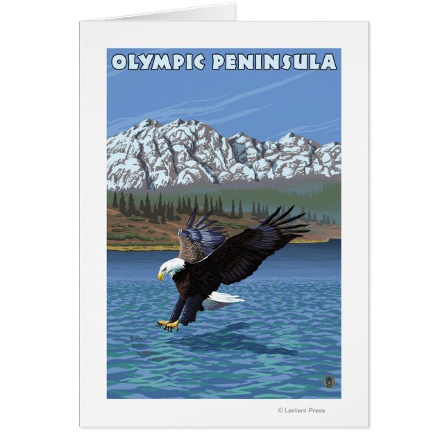 Péninsule olympique, Aigle de pêche de Washington (Devant)