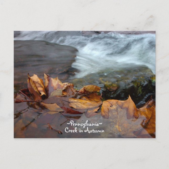 Pennsylvanie creek Carte postale (Devant)