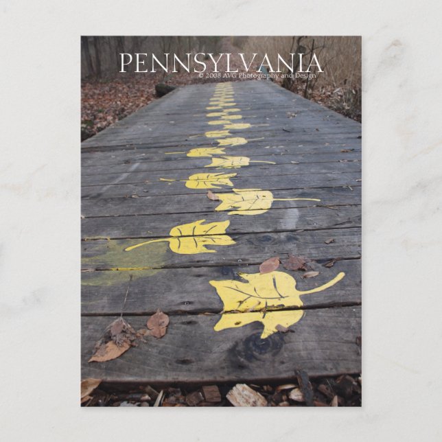 Pennsylvanie Marcher À Travers La Carte Postale Pa (Devant)