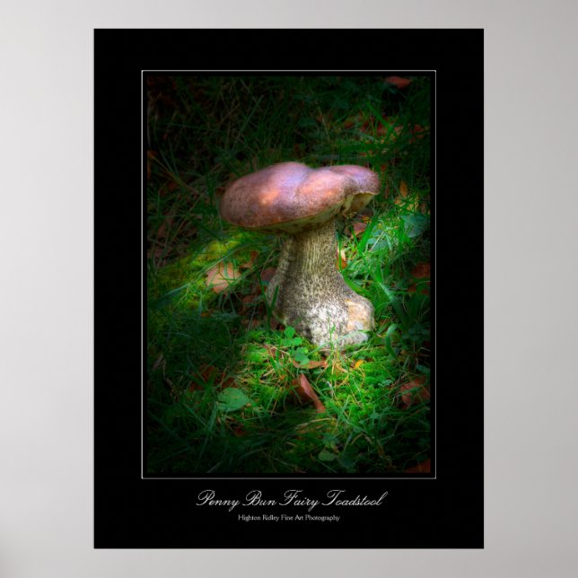 Penny Bun Fairy Toadstool galerie poster (Devant)