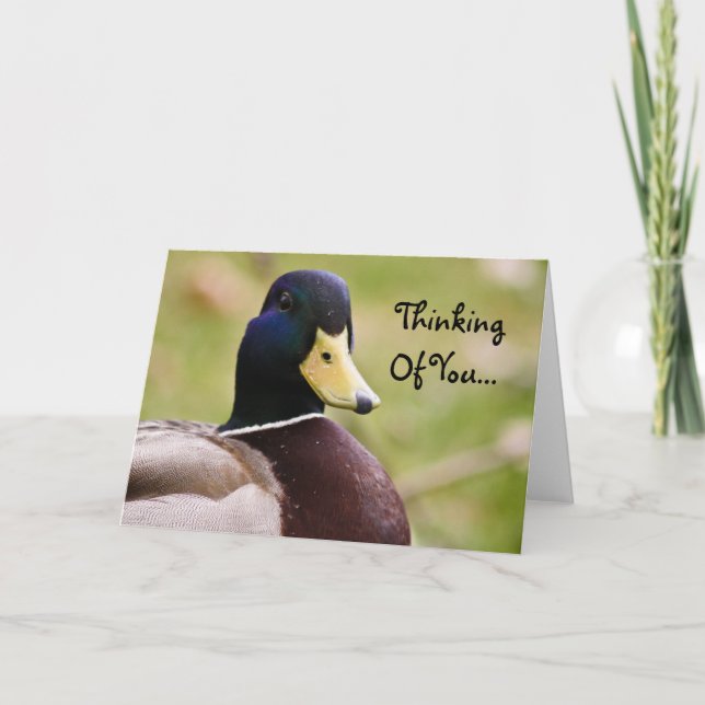Pensée à vous carte de canard (Devant)