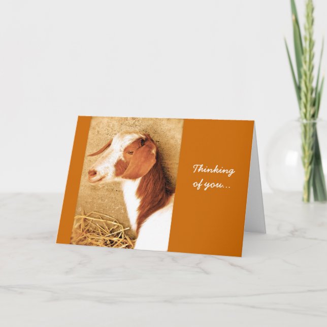 Pensée à vous carte de chèvre (Devant)