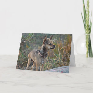 Pensée à vous carte de voeux
