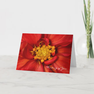 Pensée à vous carte de voeux orange de dahlia