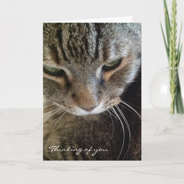 Pensée à vous carte drôle de chat tigré (Devant)