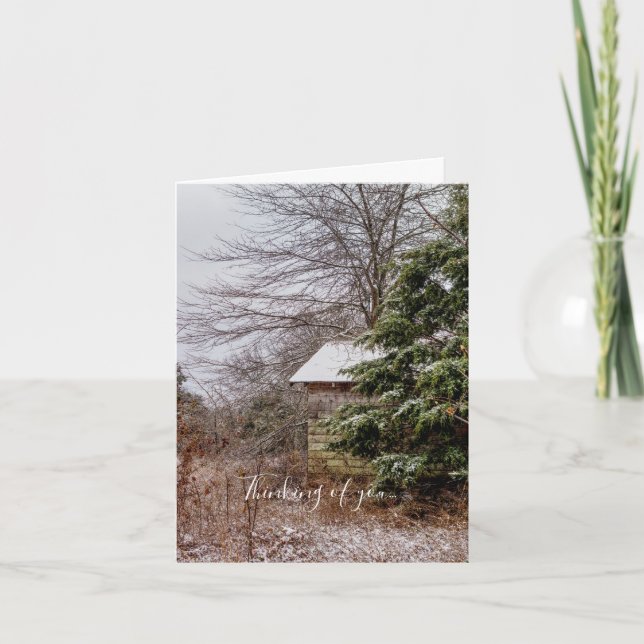 Pensée Abandonnée De Votre Carte (Devant)