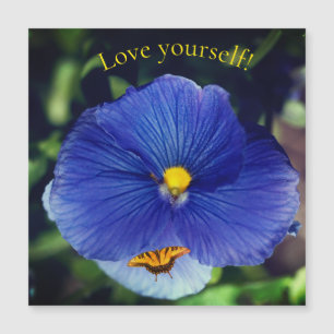 pensée bleue viola