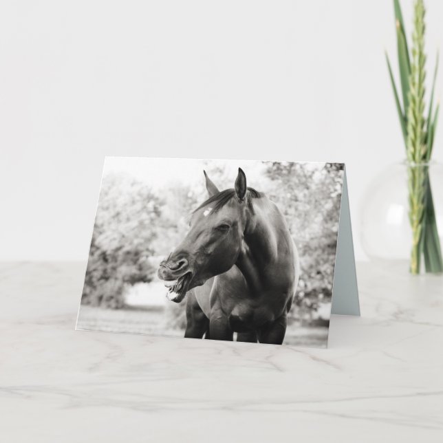 Pensée drôle de vous carte de cheval (Devant)