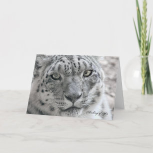 Pensée drôle de vous carte faim Snow Leopard