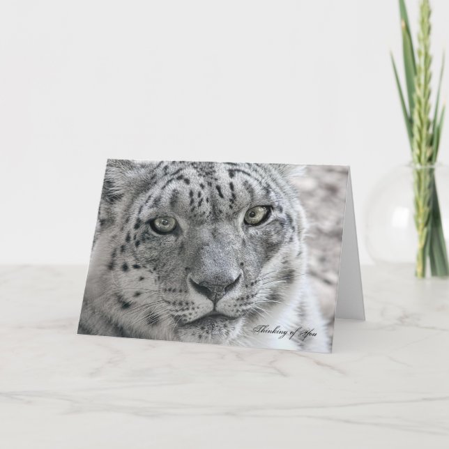 Pensée drôle de vous carte faim Snow Leopard (Devant)