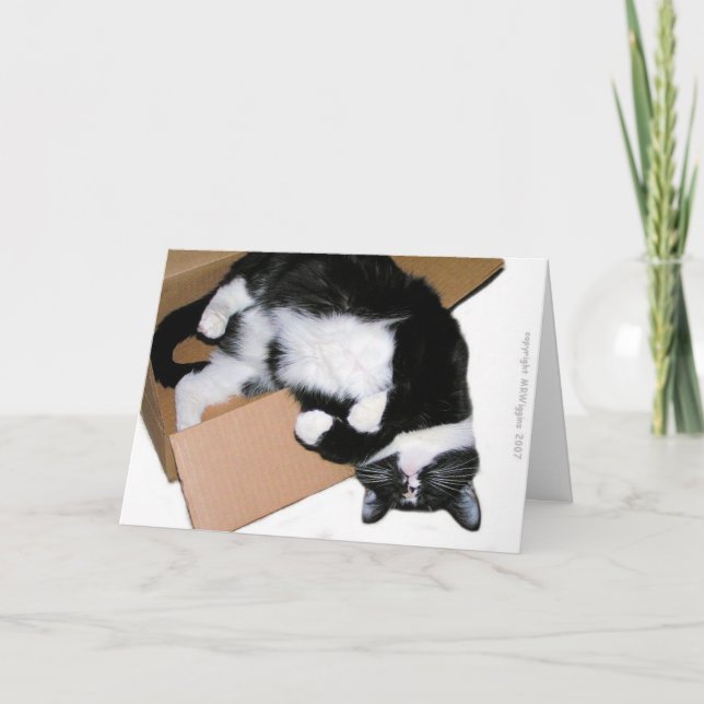 Pensée en dehors de la carte de voeux (Devant)