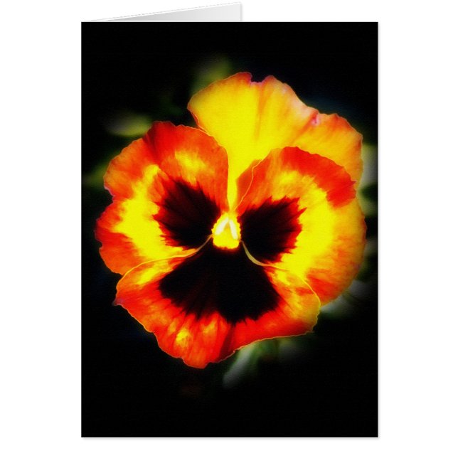 Pensée peinte (Devant)