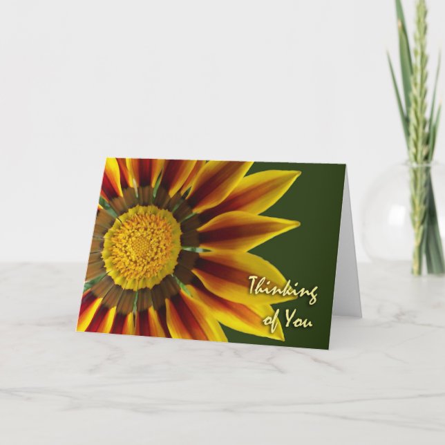 Pensée pour Vous, Fleur de Gazania, Carte Vierge (Devant)