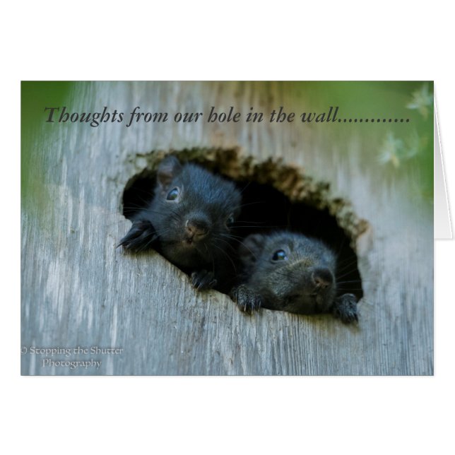 Pensées de notre trou dans le mur ...... (Devant horizontal)