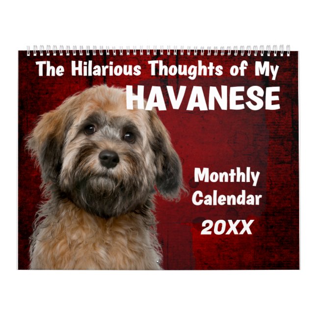 Pensées hilarantes de mon calendrier Havanais (Protection)