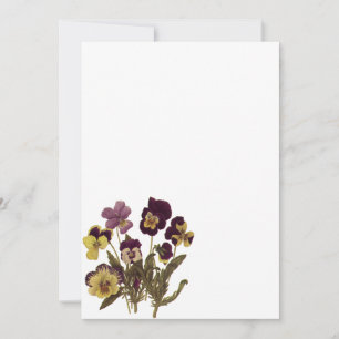 Pensées vintage en fleurs, fleurs de jardin floral