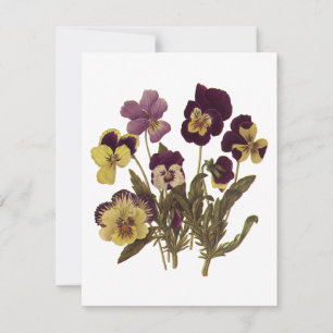 Pensées Vintage en Fleurs, Fleurs de Jardin Floral