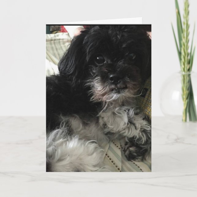 "PENSER À COMBIEN JE T'AIME !" CARTE D'AMOUR (Devant)