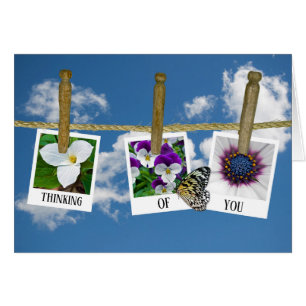 penser à des photos florales sur une ligne de ling