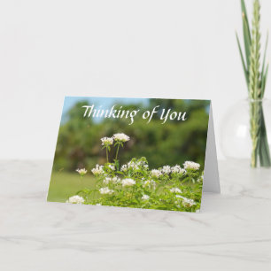 Penser à et Mlle votre carte de voeux