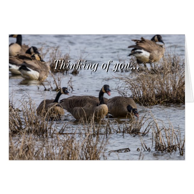 Penser À Votre Carte (Devant Horizontal)