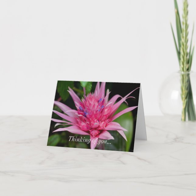 Penser À Votre Carte - Beauté Rose (Devant)