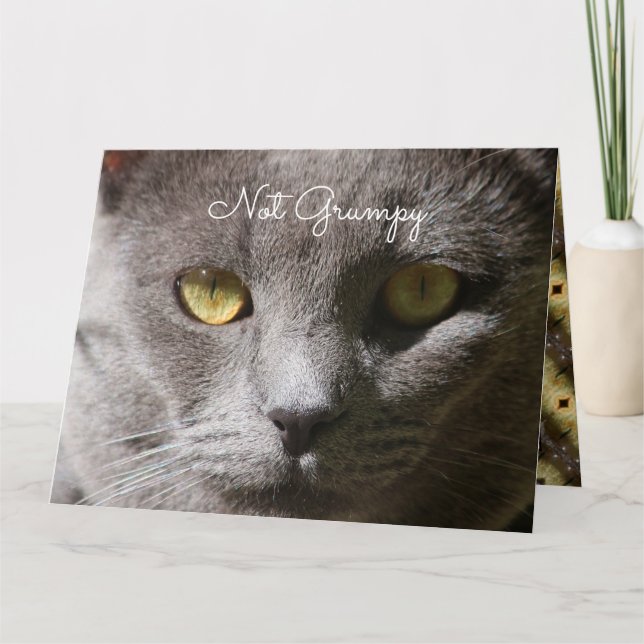 Penser À Votre Carte Chat (Devant)