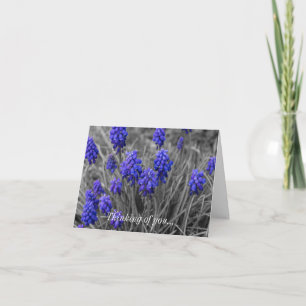 Penser à votre carte Grape Hyacinths Famille Sélec
