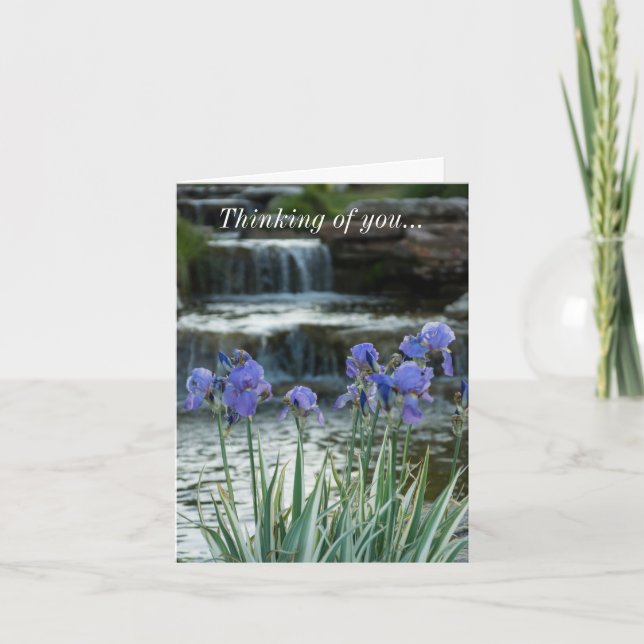 Penser À Votre Carte - Irises Au Château (Devant)