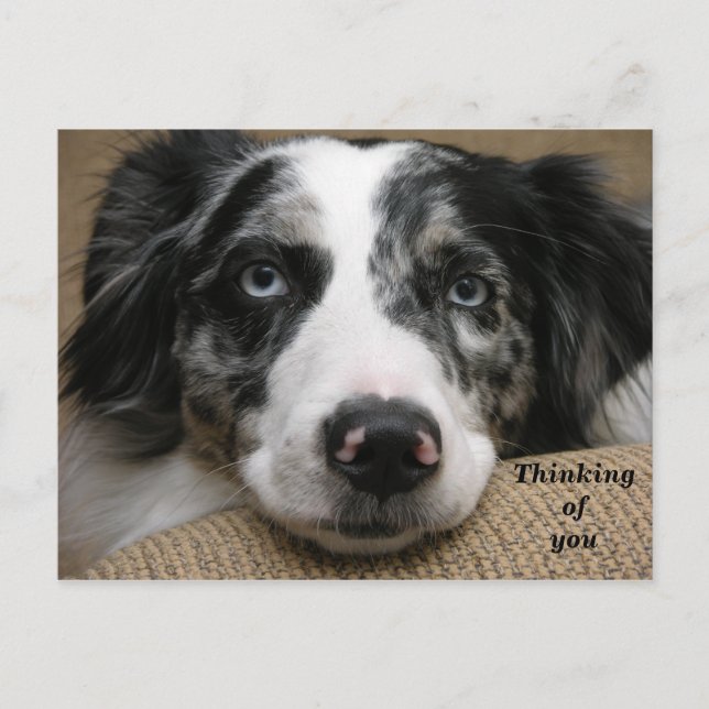 Penser à votre carte postale (Devant)