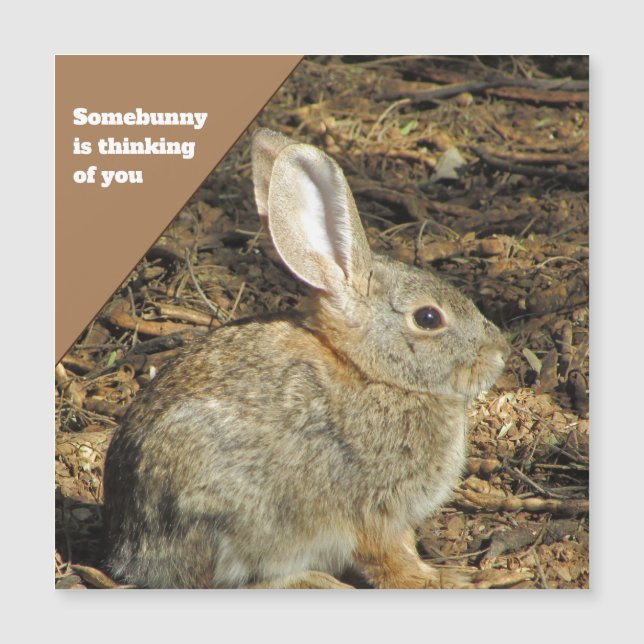 Penser à vous Brown lapin Photo Nature Animal (Devant)