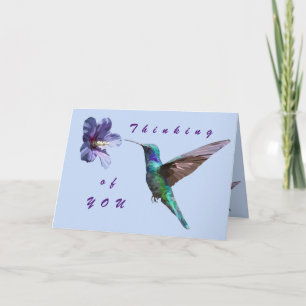 Penser à vous carte de colibri