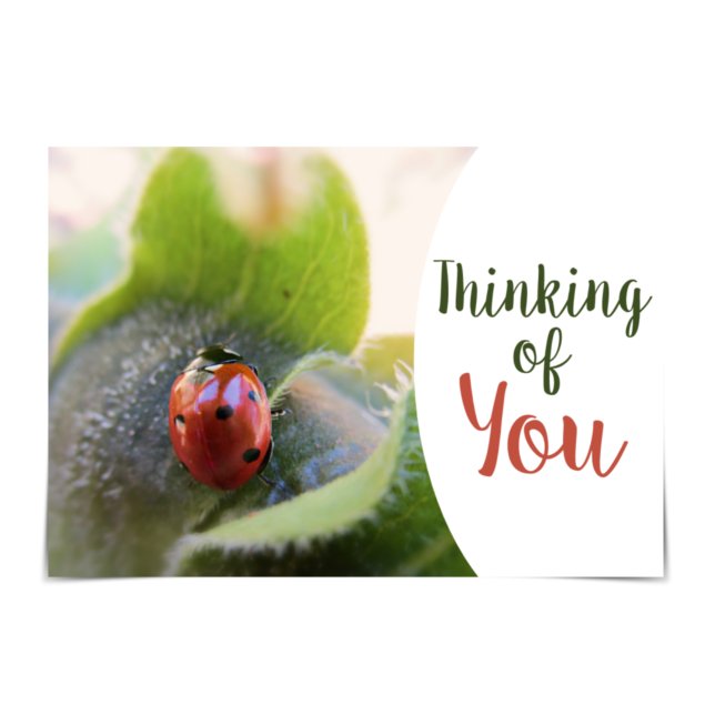 "Penser à vous" Carte Ladybug enthousiaste (Créateur téléchargé)