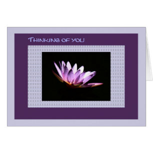 Penser à vous Carte Purple Water Lily
