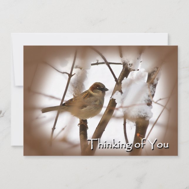 Penser à vous Cartes - Brown avec Bird (Devant)