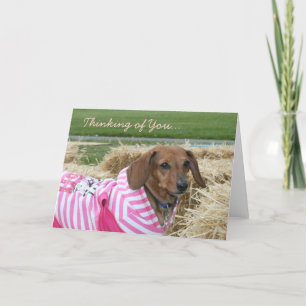 Penser à vous Dachshund carte de voeux