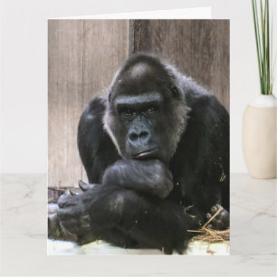 PENSER À VOUS GORILLA GRANDES CARTES DE SALUT