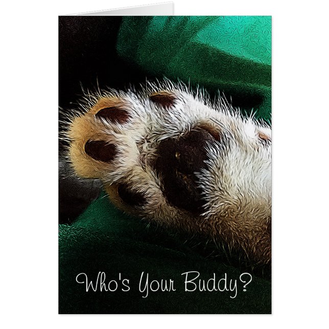 Penser à vous Kitten Paw photo vierge à l'intérieu (Devant)