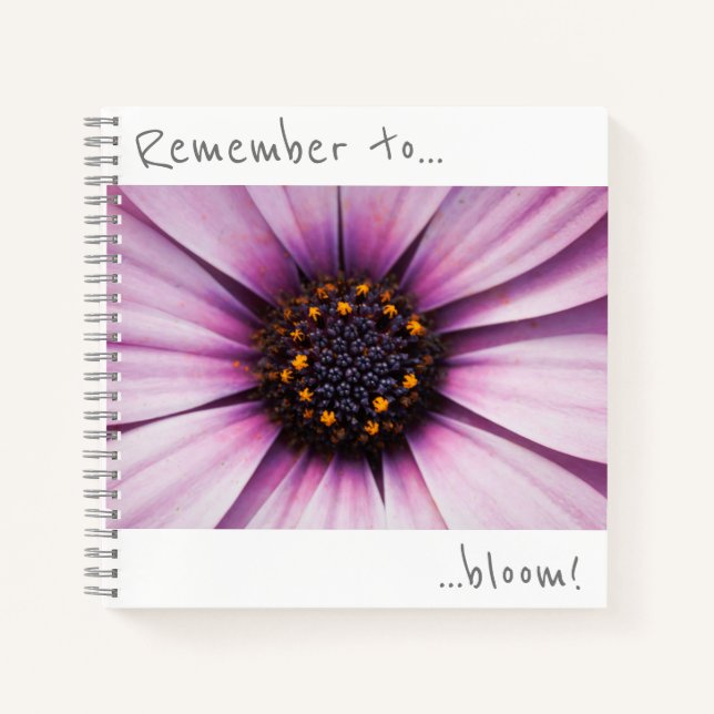 Pensez à fleurir Carnet de fleurs Osteospermum (Devant)