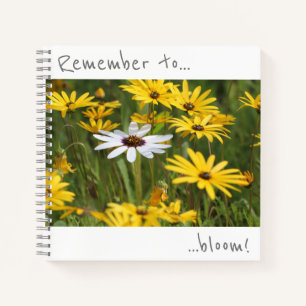Pensez à fleurir Carnet Fleurs blanches jaunes