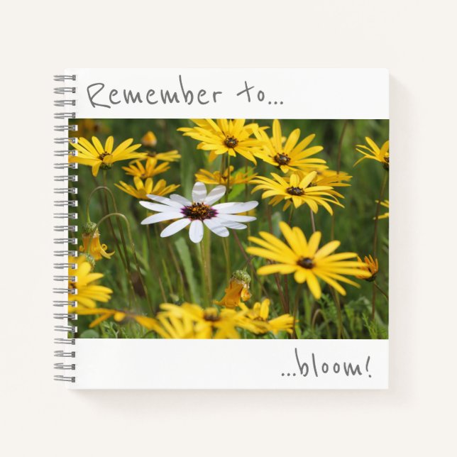 Pensez à fleurir Carnet Fleurs blanches jaunes (Devant)