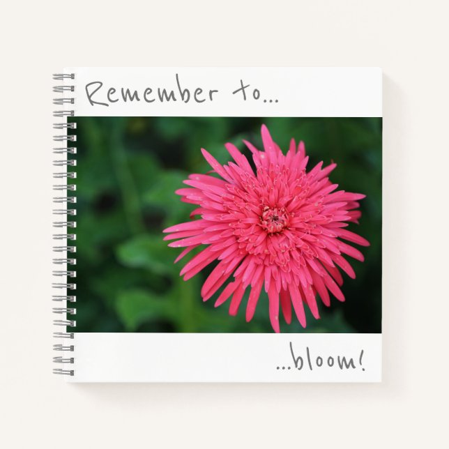 Pensez à fleurir Carnet rose Chrysanthème (Devant)