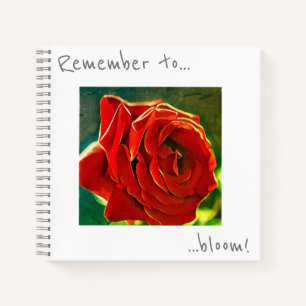 Pensez à fleurir le Carnet de Fleur Rouge Rose