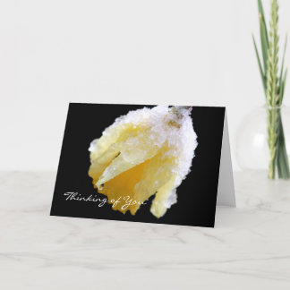 Pensez à vous Carte de voeux Daffodil d'hiver