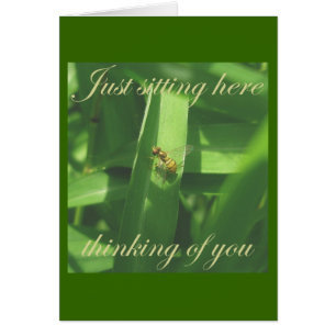 Pensez à vous Golden Bee Fly Card