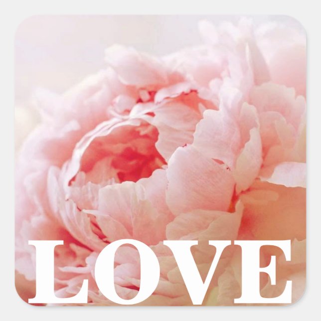 Peonies de corail Peonies Stickers d'AMOUR Floral (Devant)