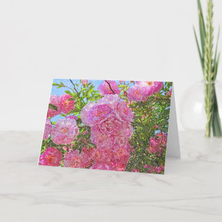 Peonies roses - Carte crayon couleur
