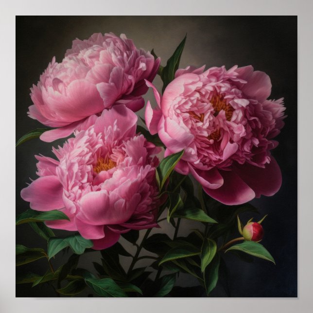 Peonies roses Flower Art Imprimer Poster (Devant)