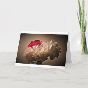 Peony, carte