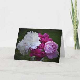 Peony, carte